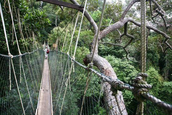 Histoires de ponts en Tanzanie