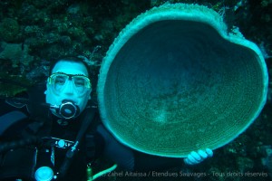 Plongée sous-marine Plongée sous-marine