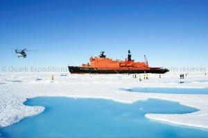 Le Pole Nord : ultime voyage sur le toit du monde !
