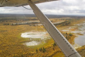 Survol du Wapusk National Park