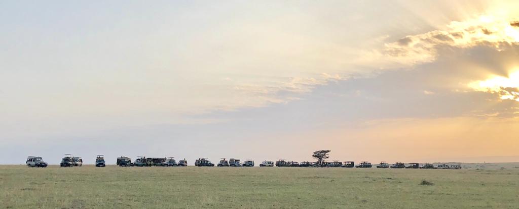 Kenya – Trop de monde dans le Masai Mara