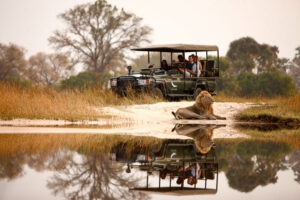 Sandibe Delta Camp, Botswana 