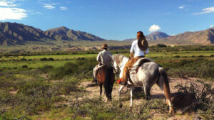 Estancia Colomé, Argentine