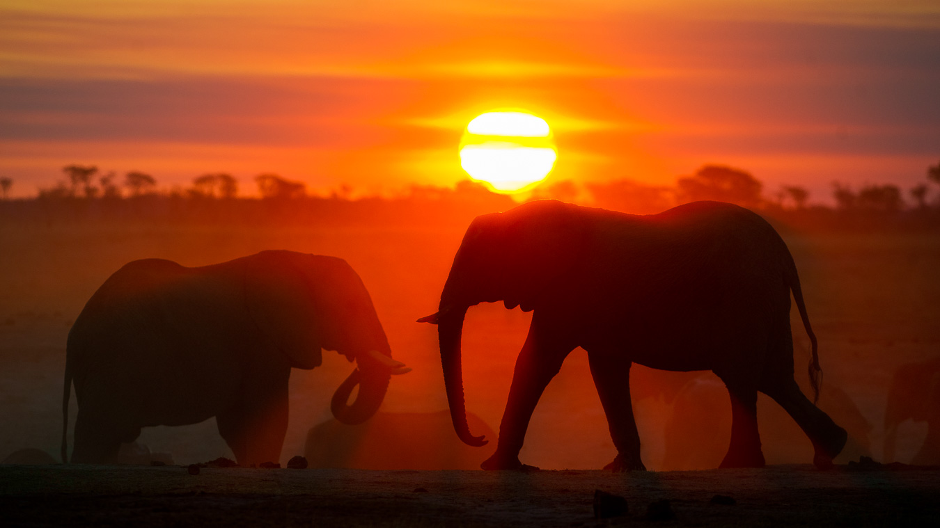 Little Makalolo, Zimbabwe © Dana Allen