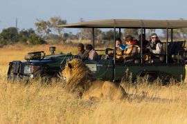Equipement pour un safari en Afrique