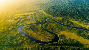 Forêt Amazonienne, Brésil © Shutterstock