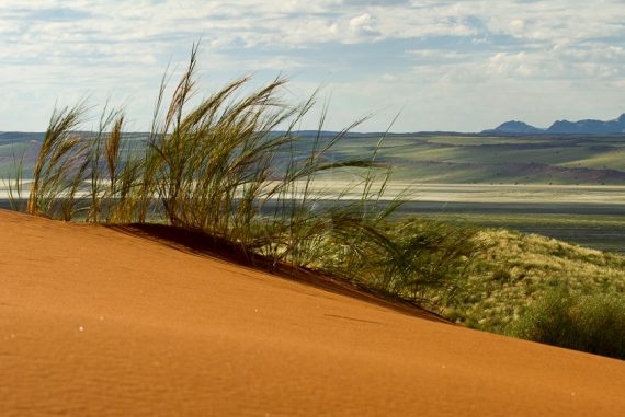 Paysage de la Namib Rand Nature Reserve, Namibie