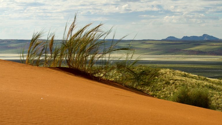 Paysage de la Namib Rand Nature Reserve, Namibie