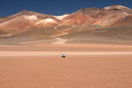 Altiplano, Bolivie © Shutterstock