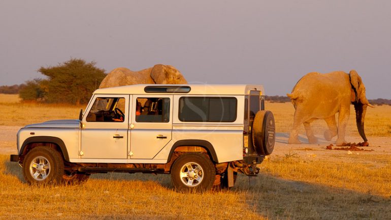 Safari en Afrique avec voiture de location