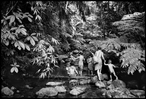 Retour de la cueillette, Palawan. (c) Pierre de Vallombreuse