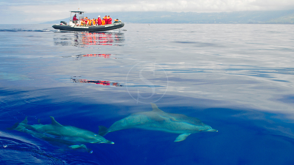 Les Açores ont tenu leurs promesses… Du bleu, encore du bleu, toujours du bleu…