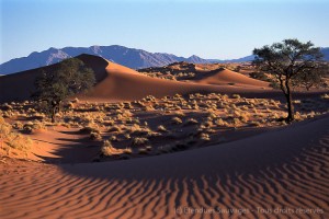 Desert du Namib, Namibie