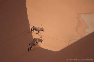 Desert du Namib