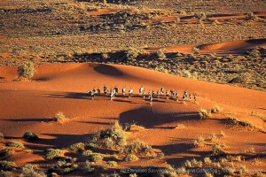 Dunes vers Sossusvlei, Namibie