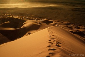 Dunes de Sossusvlei, Namibie