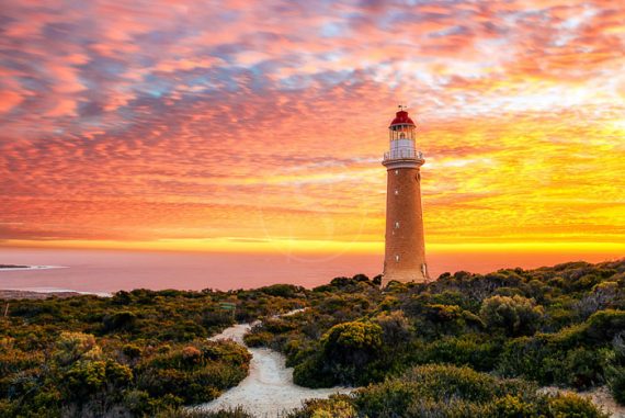 Kangaroo Island, Australie