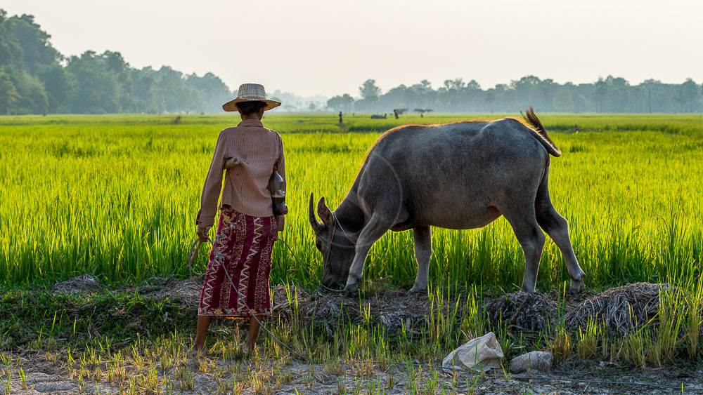 Le Cambodge en famille, avec vos enfants