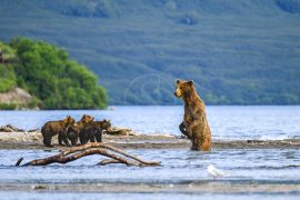 Lac Kourile Kamtchatka © Shutterstock