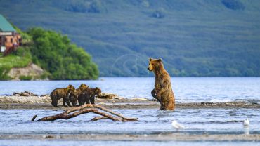 Lac Kourile Kamtchatka © Shutterstock
