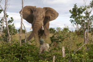 Voyage au Zimbabwe