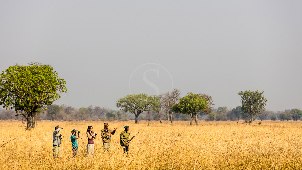 5 pays, 5 spots, 5 expériences africaines