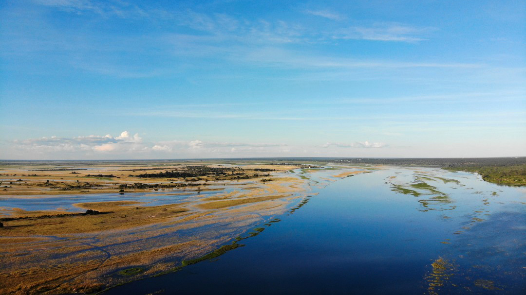 Delta de l’Okavango : l’eau, c’est la vie !