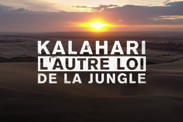 Bande Annonce de Kalahari, l'autre loi de la jungle © ZED