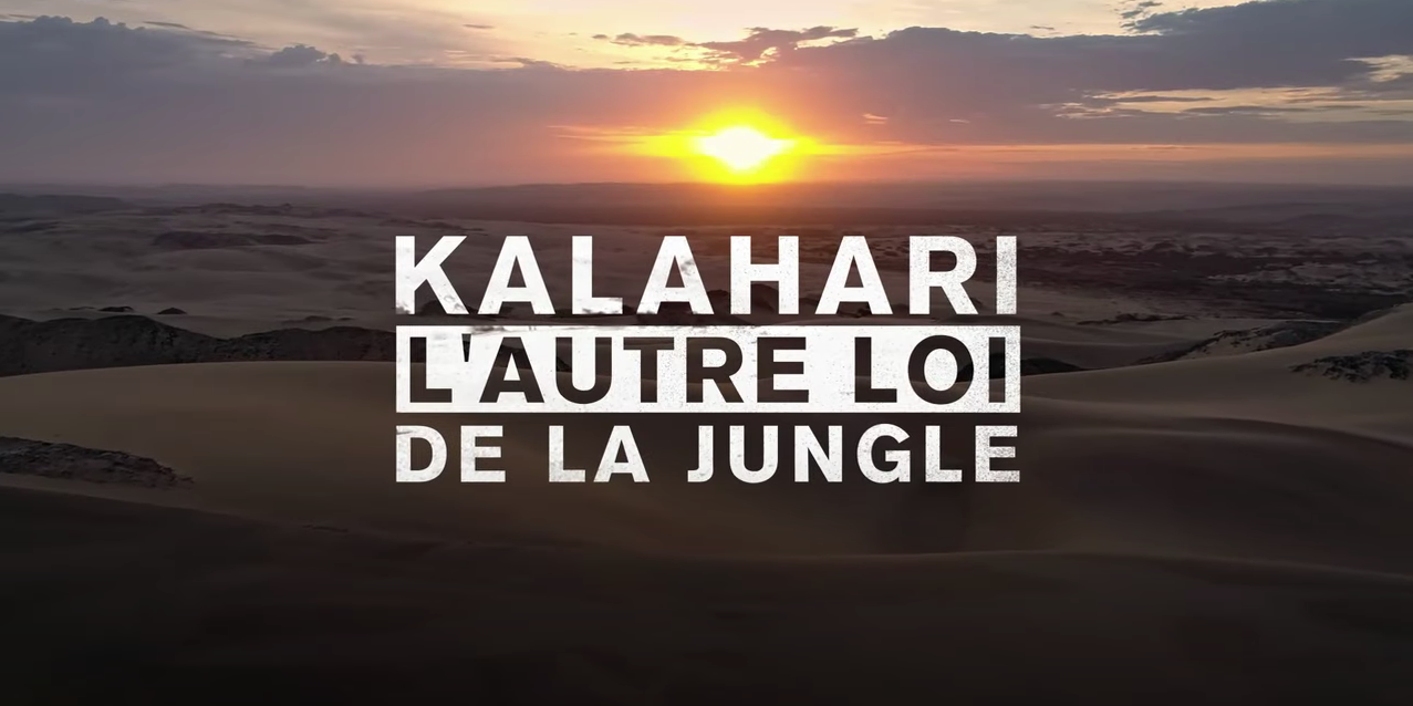 Kalahari, la grande soif