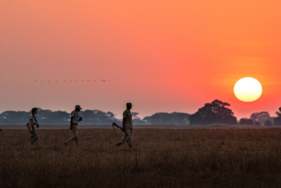 Chisa Busanga, Zambie © Green Safaris