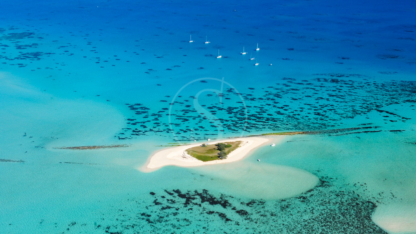 Une île : Voici le temps de vivre