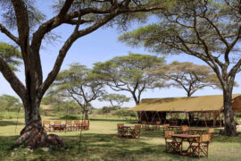 Laba Migration Camp, Tanzanie © Laba Laba Collection