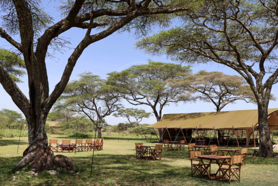 Laba Migration Camp, Tanzanie © Laba Laba Collection