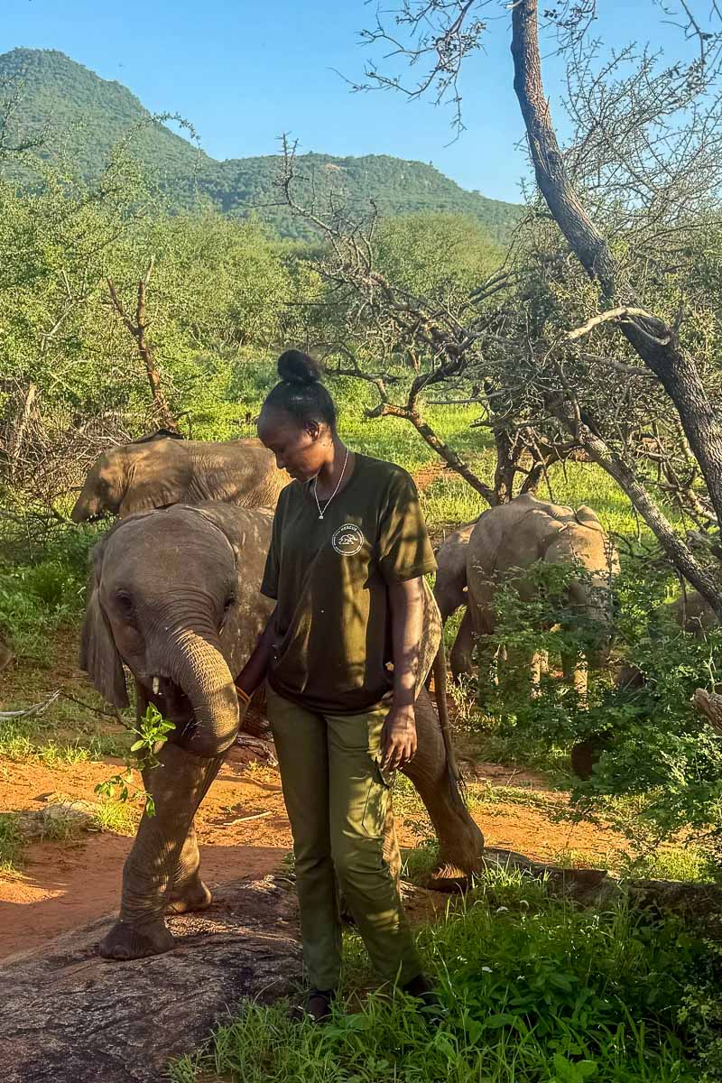 Reteti Elephant Sanctuary, Kenya © Etendues Sauvages Juliette Foltz