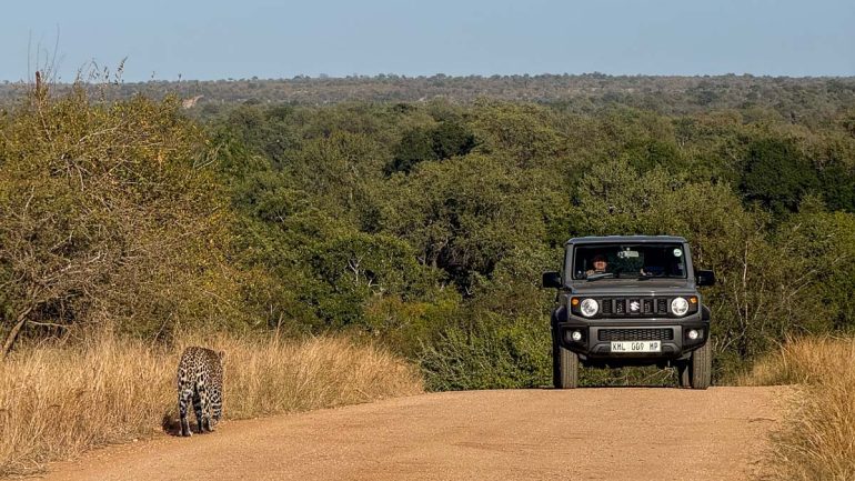 Afriquedusud Jf Kruger 004