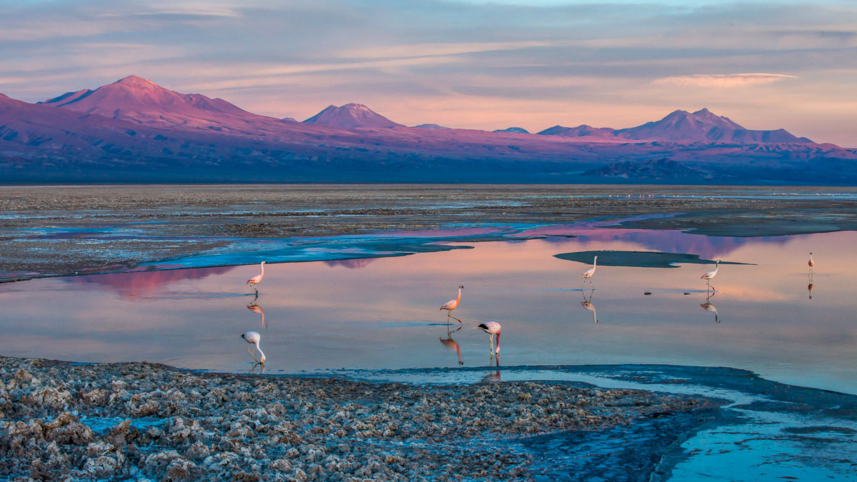 Alto Atacama Desert Lodge & Spa, Chili © Nayara Collection