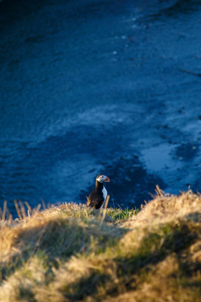 Islande © Paul Guillot Etendues Sauvages