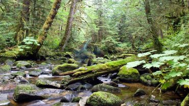 Spirit Bear Lodge, Canada © Spirit Bear Lodge
