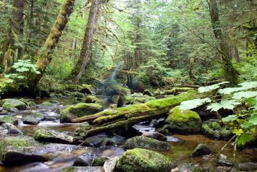 Spirit Bear Lodge, Canada © Spirit Bear Lodge