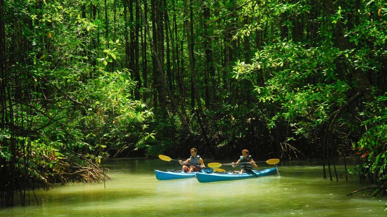 Nicuesa Rainforest Lodge, Costa Rica © Nicuesa Rainforest Lodge