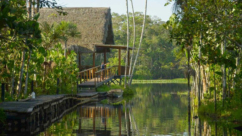 Sacha Lodge, Equateur © Sacha Lodge