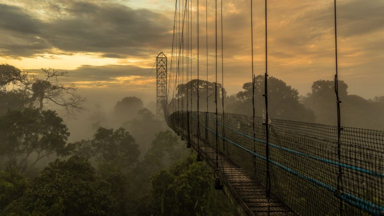 Sacha Lodge, Equateur © Sacha Lodge