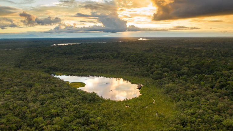 Sacha Lodge, Equateur © Sacha Lodge