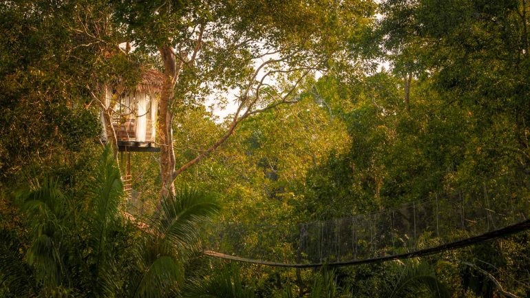 Treehouse Lodge, Pérou © Symoni Johnson