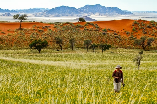 Trek Tok Tokkie, Namibie