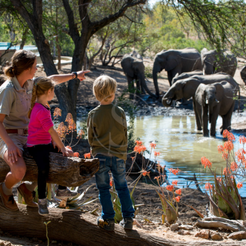 05afriquedusud_andbeyond_ngala_safari_lodge_005