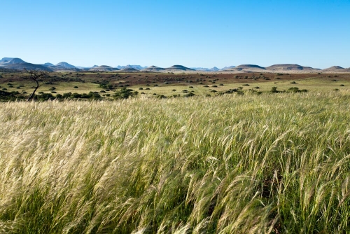 Concession de Palmwag, Namibie