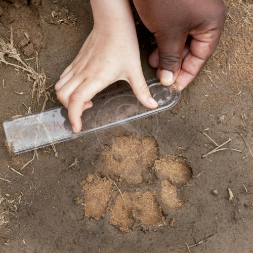 07afriquedusud_andbeyond_phinda_mountain_lodge_012