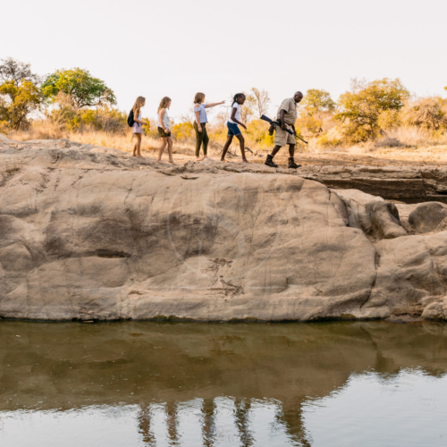 09afriquedusud_thornybush_game_lodge_008