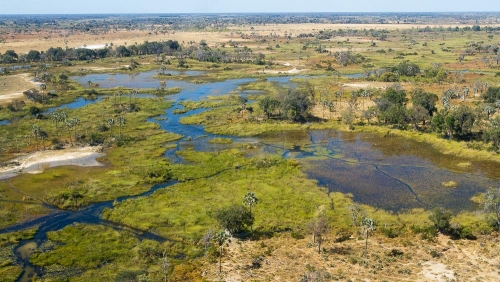 Delta de l'Okavango © Etendues Sauvages